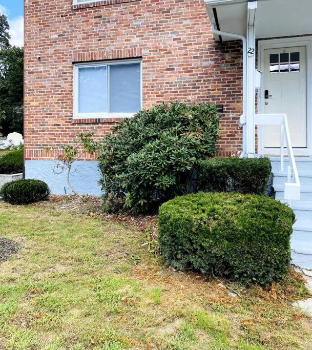 Cozy Boston Getaway Apartment! Free Parking Eksteriør billede